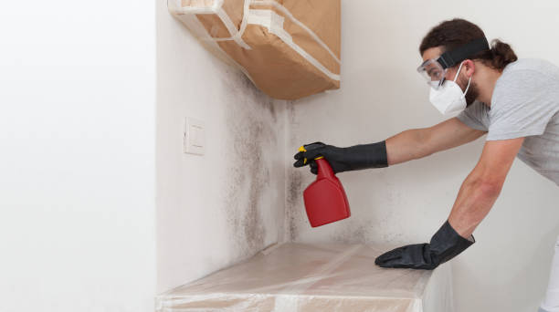 Professional Crawl Space Mold Removal technician working in Long Lake, IL