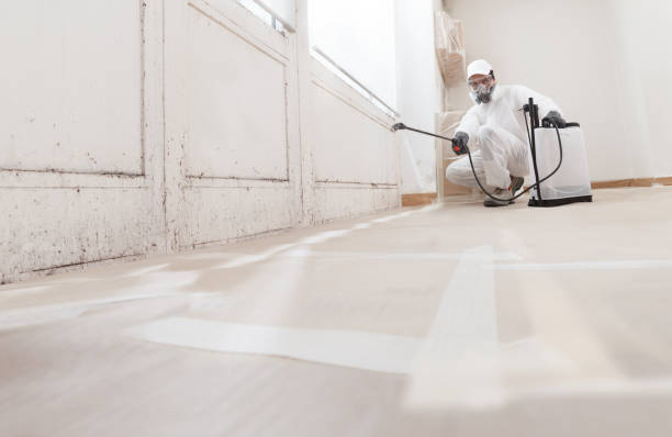 24/7 Emergency Crawl Space Mold Removal experts in Long Lake, IL
